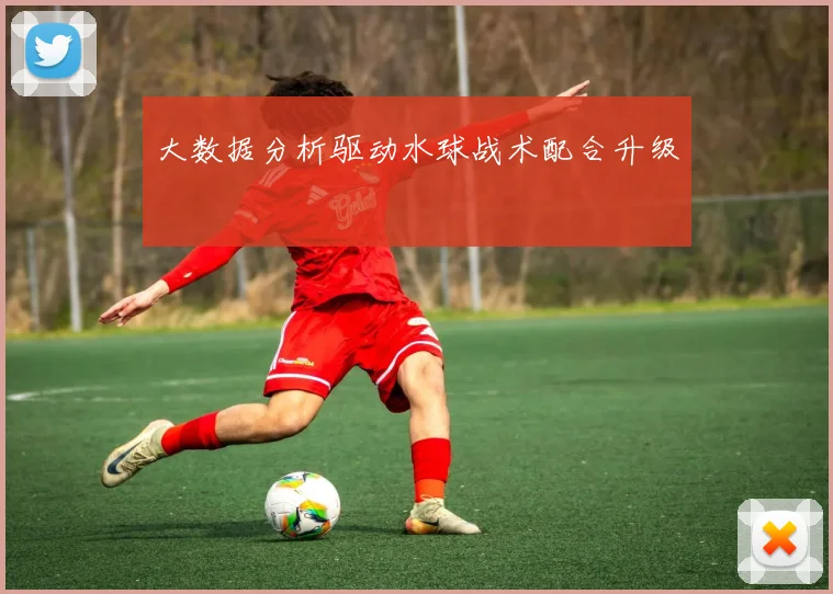 大数据分析驱动水球战术配合升级